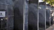 Нитроди