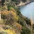 Ischia Safari: сентябрьский гастрономический фестиваль на Искье