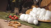 Моцарелла из буйволиного молока: традиционный продукт региона Кампания